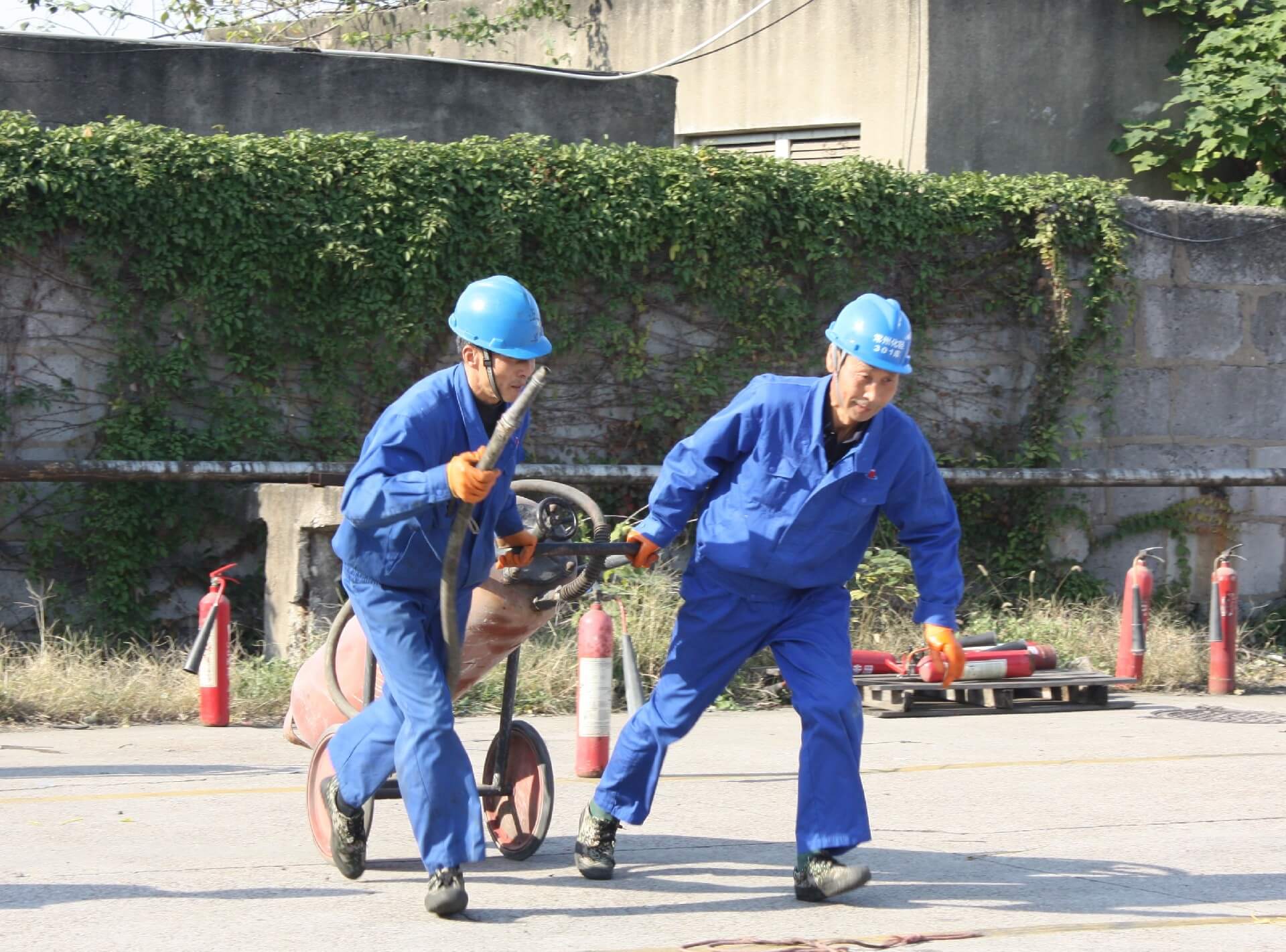 1636697263179053.jpg IMG_7413.JPG