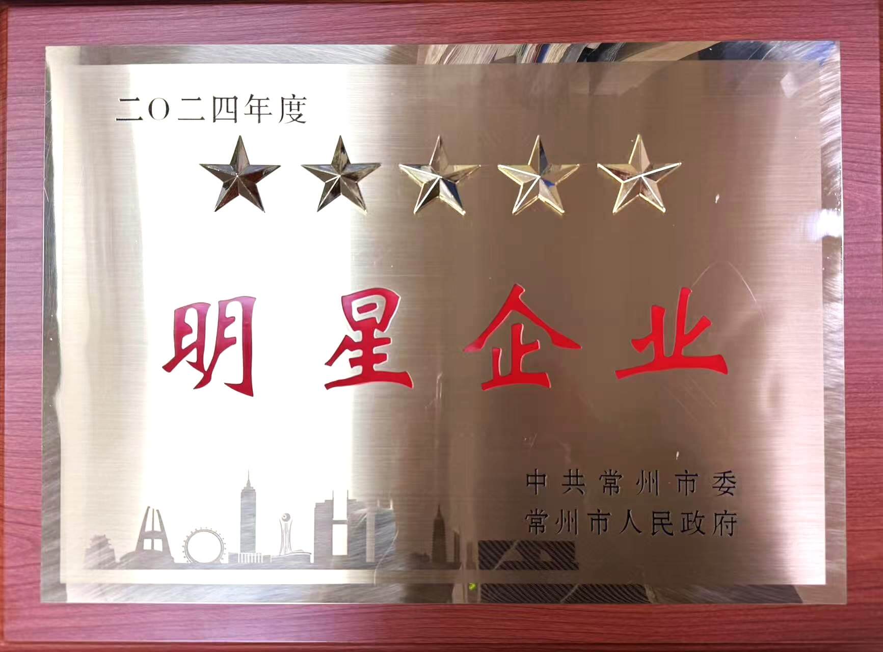 1741055173174670.jpg 2024年度常州市現(xiàn)代服務(wù)五星企業(yè)獎牌.jpg